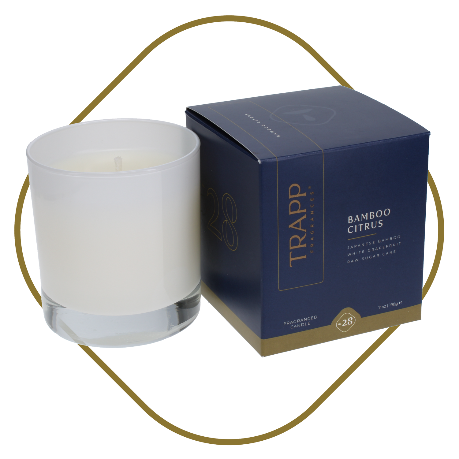 No. 28 Bamboo Citrus 7 oz. Candle in Signature Box